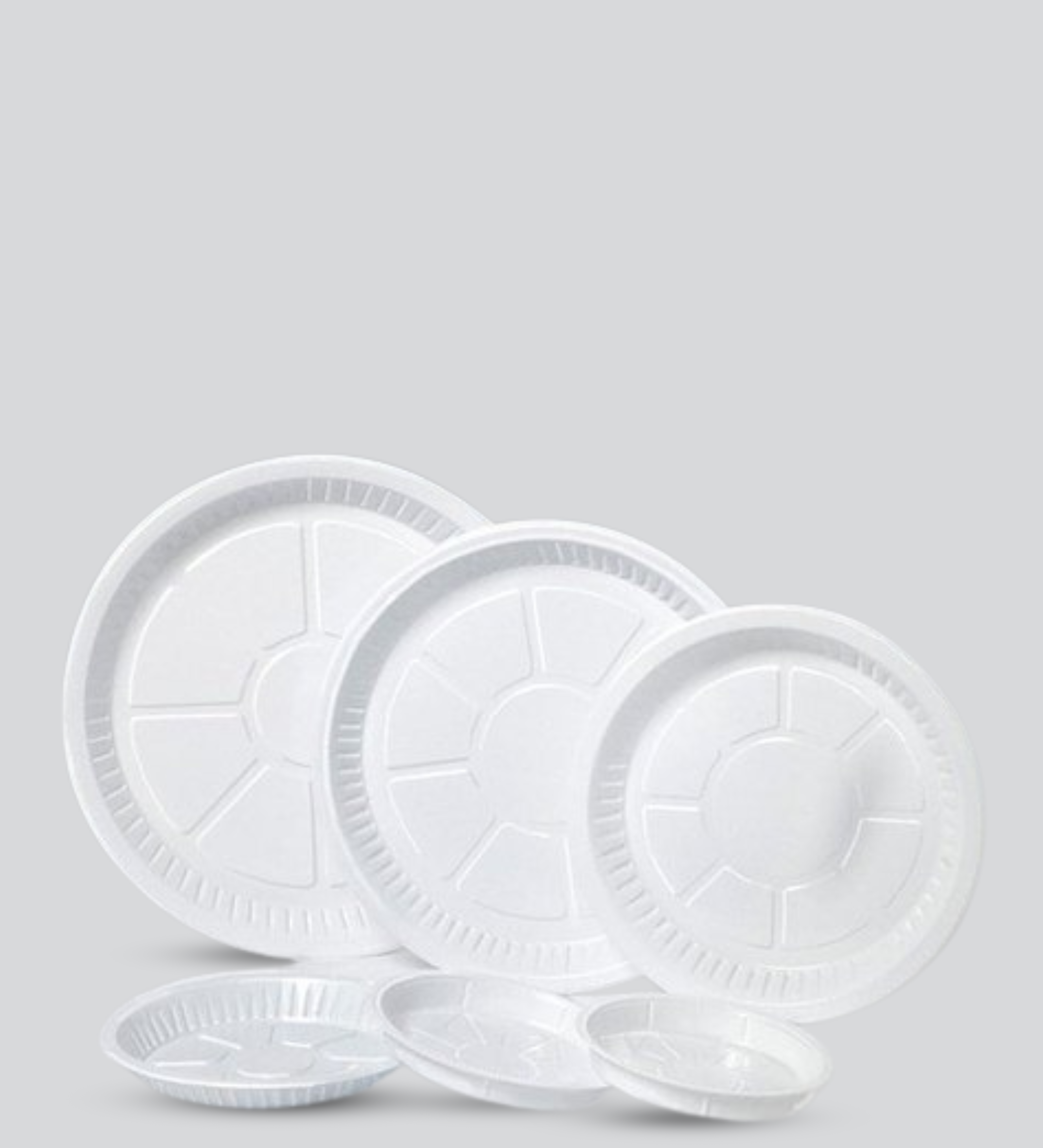 Disposable plates for parties, picnics, and events