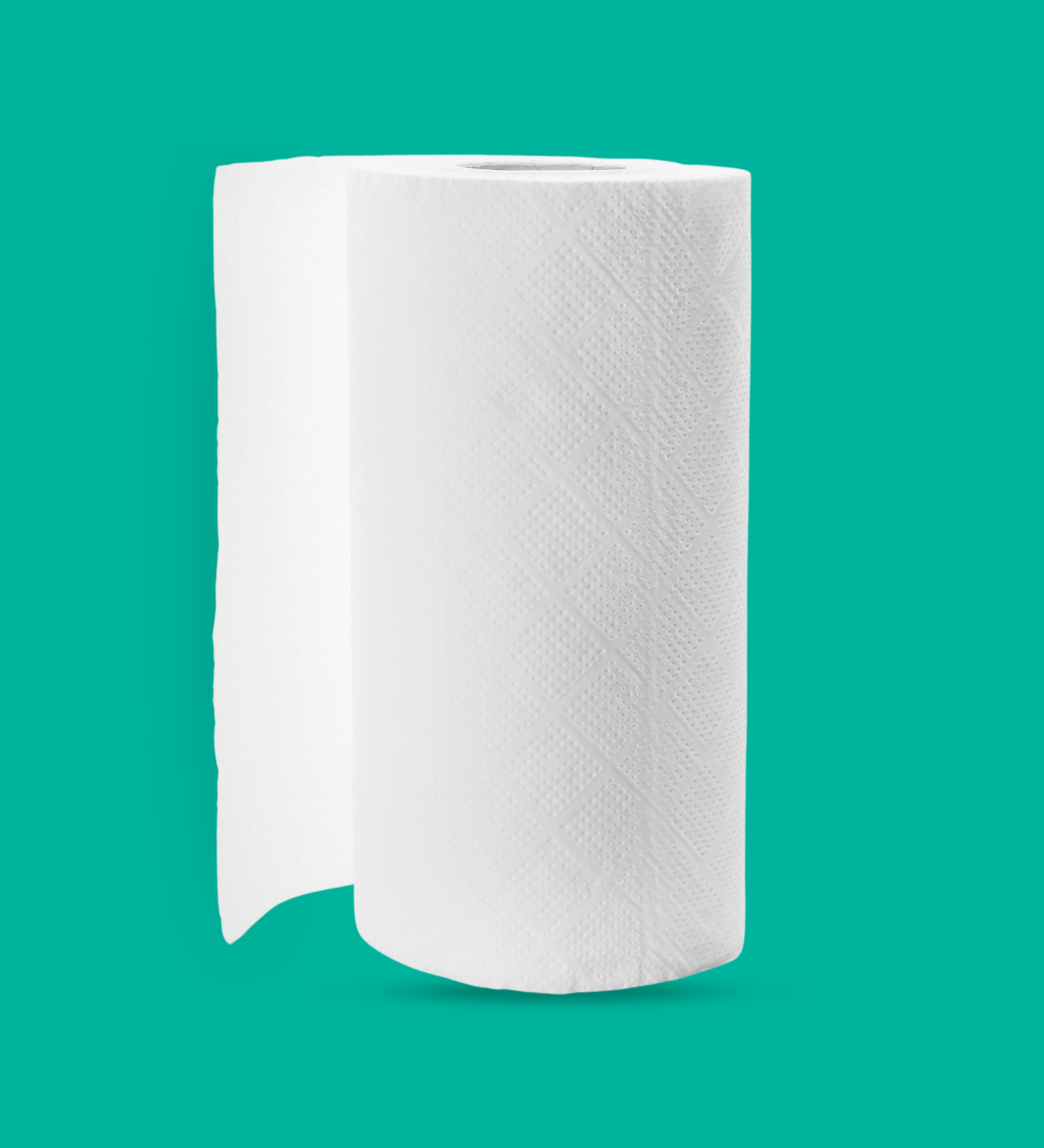 kitchen tissue paper for soft and high absorbing avaiable online in Qatar