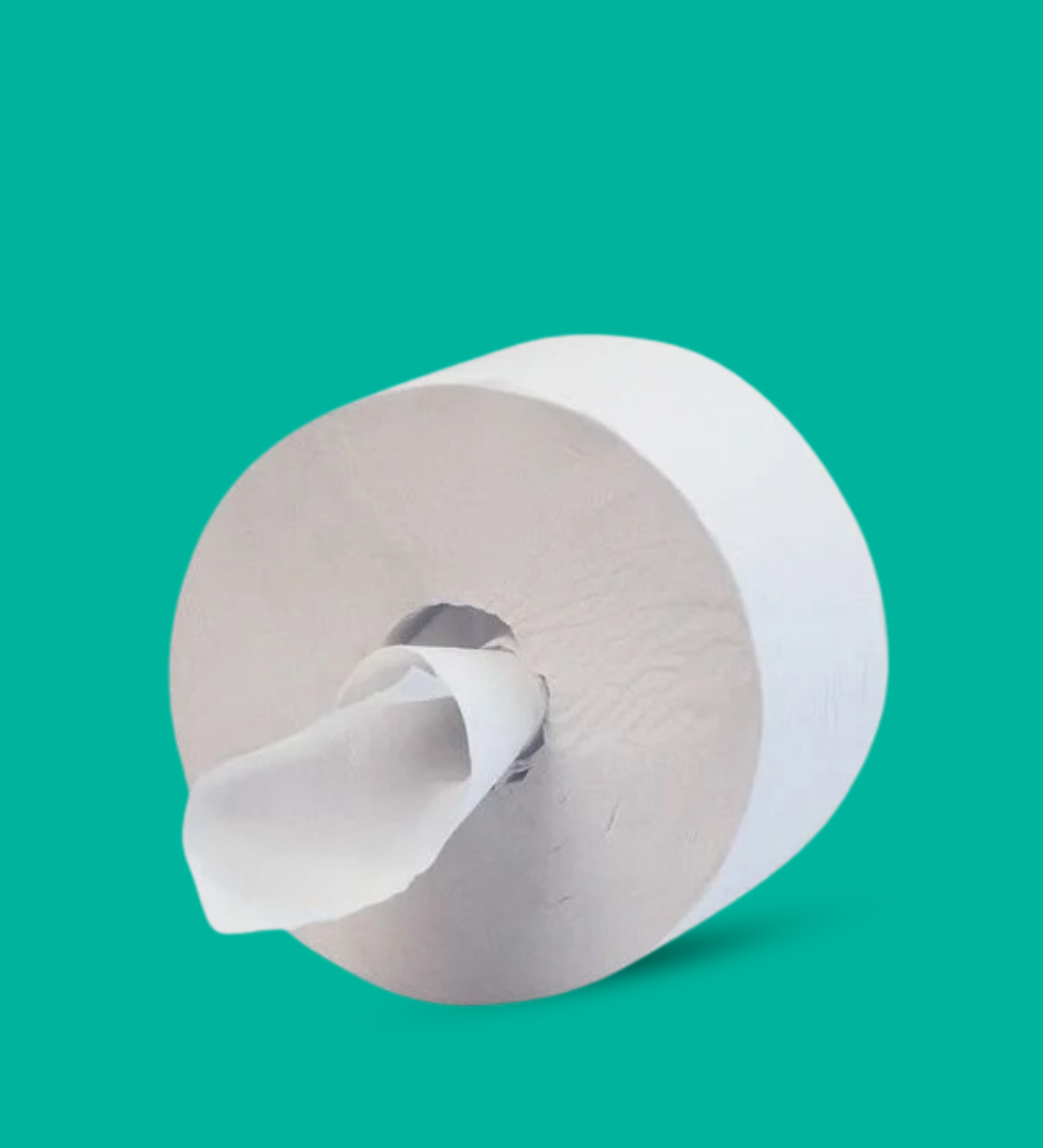 jumbo toilet paper available in Qatar