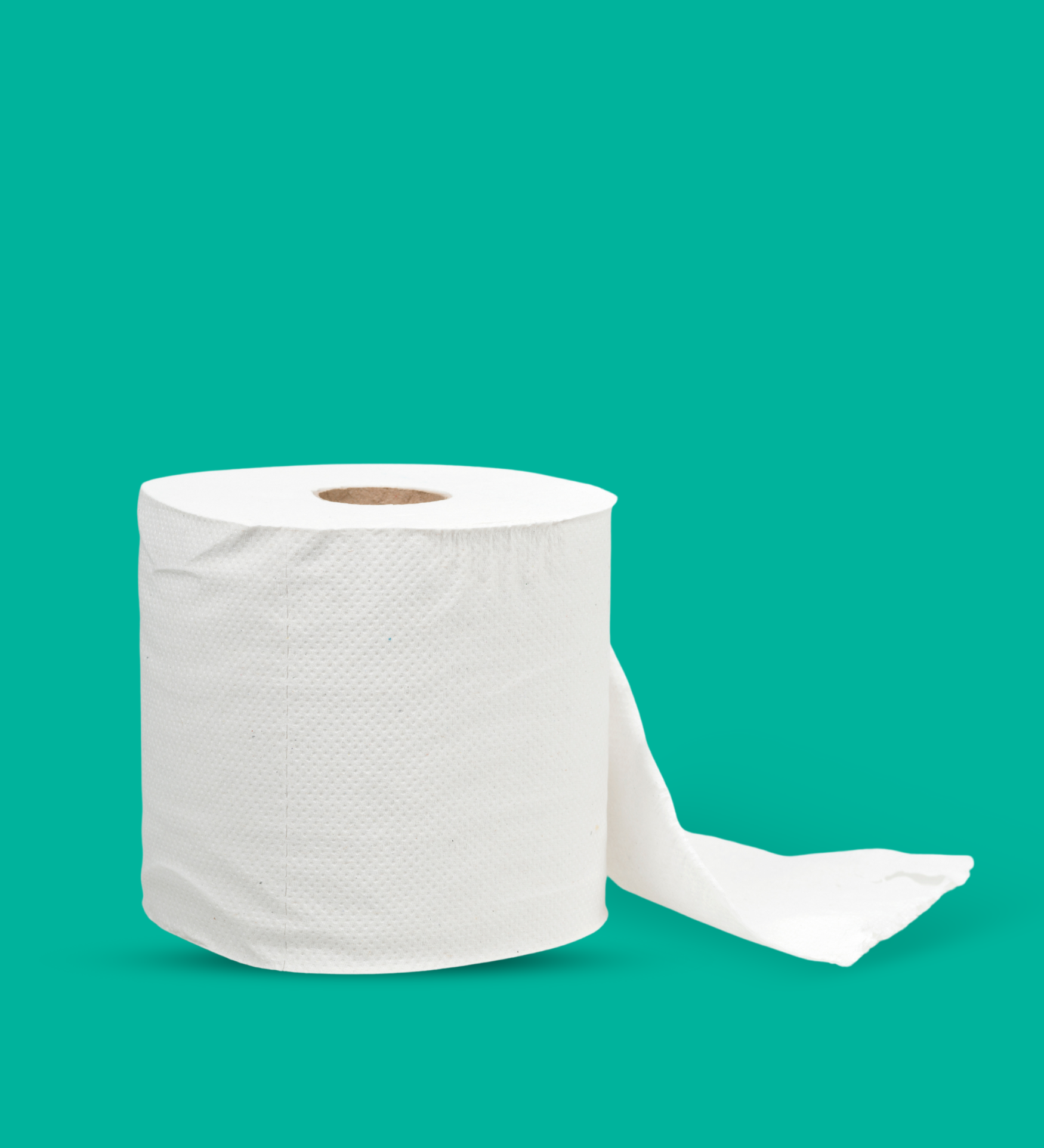 shop online toilet paper in Qatar with multiple options to choose from the sizes and pieces